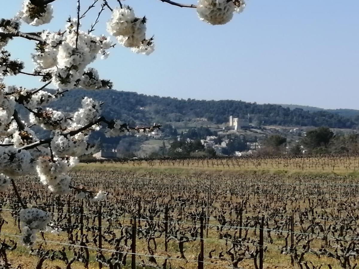 Au Villadior - Vaison La Romaine Kültér fotó