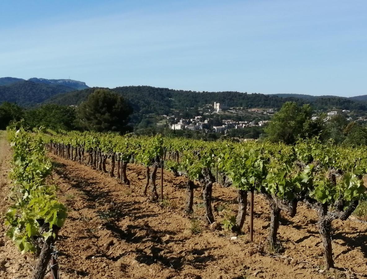 Au Villadior - Vaison La Romaine Kültér fotó
